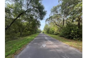 6634 PAGODA TREE TERRACE, HERNANDO, FL 34442 - MLS#MFROK225315