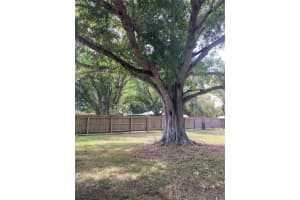 1214 ALLIGATOR ROAD, MOORE HAVEN, FL 33471 - MLS#MFROK225318