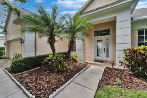 8749 ASHWORTH DRIVE, TAMPA, FL 33647 - MLS#MFROK225323