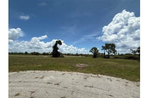 18 SATINWOOD PLACE, PLACIDA, FL 33946 - MLS#MFROK225324