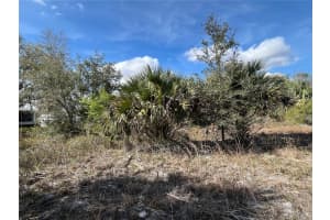14667 294TH STREET, OKEECHOBEE, FL 34972 - MLS#MFROK225331