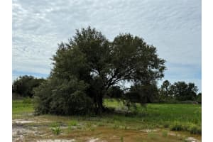 16814 296TH STREET, OKEECHOBEE, FL 34972 - MLS#MFROK225403