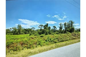 449 HALLMARK AVENUE, LAKE PLACID, FL 33852 - MLS#MFROK225450