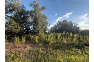 19426 270TH STREET, OKEECHOBEE, FL 34972 - MLS#MFROK225457