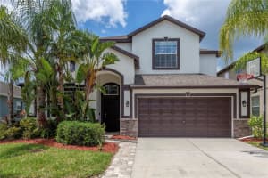 3663 Morgons Castle Ct, LAND O LAKES