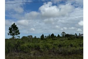 18619 248TH STREET, OKEECHOBEE, FL 34972 - MLS#MFROK225511