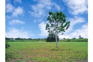 20533 250TH STREET, OKEECHOBEE, FL 34972 - MLS#MFROK225549