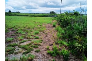 20533 250TH STREET, OKEECHOBEE, FL 34972 - MLS#MFROK225549