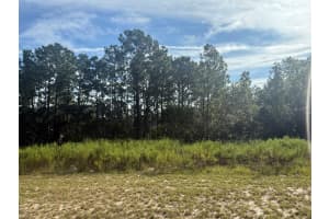 tbd 135TH STREET ROAD, OCALA, FL 34473 - MLS#MFROK225554