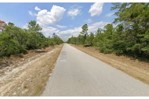 920 WESTERN BOULEVARD, LAKE PLACID, FL 33852 - MLS#MFROK225568