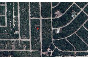 920 WESTERN BOULEVARD, LAKE PLACID, FL 33852 - MLS#MFROK225568