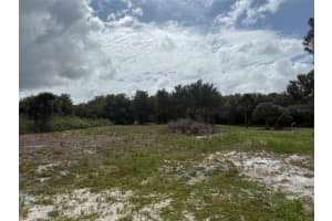 15134 306TH STREET, OKEECHOBEE, FL 34972 - MLS#MFROK225606