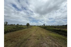 18086 270TH STREET, OKEECHOBEE, FL 34972 - MLS#MFROK225636