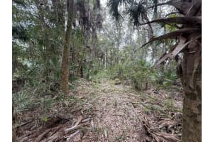 17376 320TH STREET, OKEECHOBEE, FL 34972 - MLS#MFROK225637