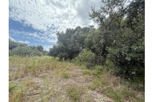 17376 320TH STREET, OKEECHOBEE, FL 34972 - MLS#MFROK225637