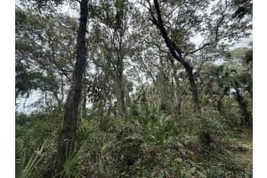 17376 320TH STREET, OKEECHOBEE, FL 34972 - MLS#MFROK225637