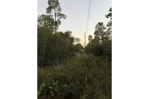 NE 17TH AVE, OKEECHOBEE, FL 34972 - MLS#MFROK225648