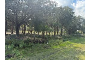 15838 312TH STREET, OKEECHOBEE, FL 34972 - MLS#MFROK225672