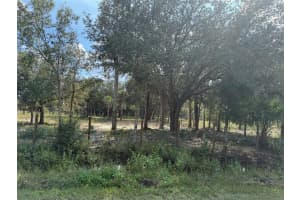 15838 312TH STREET, OKEECHOBEE, FL 34972 - MLS#MFROK225672