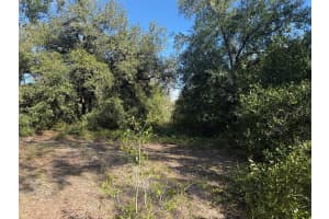 17129 286TH STREET, OKEECHOBEE, FL 34972 - MLS#MFROK225675