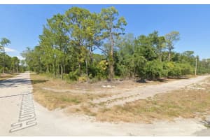 1001 HUMMINGBIRD STREET, LAKE PLACID, FL 33852 - MLS#MFROK225784