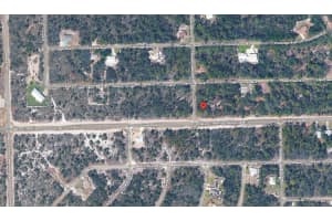 1001 HUMMINGBIRD STREET, LAKE PLACID, FL 33852 - MLS#MFROK225784
