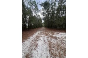 589 CUMORAH HILL STREET, FORT WHITE, FL 32038 - MLS#MFROK225802