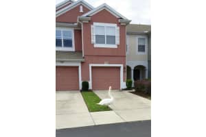 4932 SW 45th Cir, Ocala, FL 34474, Sold 08/10/17