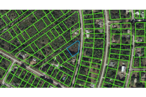 352 Pershing Ave, Lake Placid, FL 33852, - MLS#MFROM541292