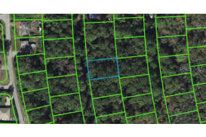 217 Harmony Ct, Lake Placid, FL 33852, - MLS#MFROM542049