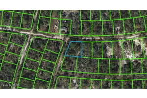 335 Sunnyside Dr, Lake Placid, FL 33852, - MLS#MFROM542055