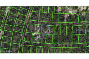 Lake Placid, FL 33852, - MLS#MFROM542056