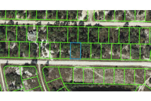 402 Jack Weisser Blvd, Lake Placid, FL 33852, - MLS#MFROM542068