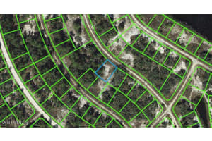 Lake Placid, FL 33852, - MLS#MFROM542073