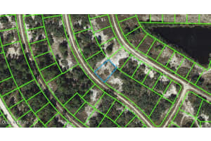 Lake Placid, FL 33852, - MLS#MFROM542074