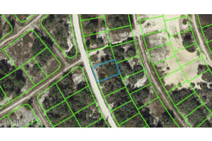 Lake Placid, FL 33852, - MLS#MFROM542077