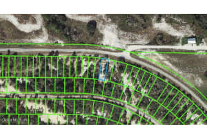 737 County Rd 29, Lake Placid, FL 33852, - MLS#MFROM542118