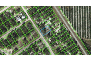 532 Morningside Dr, Lake Placid, FL 33852, - MLS#MFROM542128