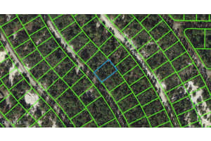 507 Dreamland Dr, Lake Placid, FL 33852, - MLS#MFROM543118