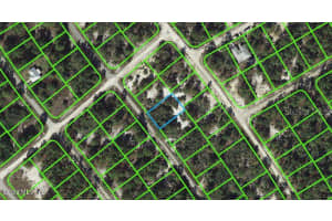 535 Dreamland Dr, Lake Placid, FL 33852, - MLS#MFROM543120