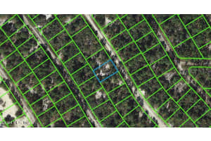 520 Summer Hill Dr, Lake Placid, FL 33852, - MLS#MFROM543122