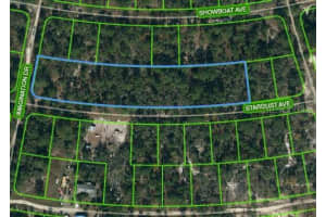 350 STARDUST AVE, LAKE PLACID, FL 33852 - MLS#MFROM620811