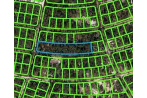 350 STARDUST AVE, LAKE PLACID, FL 33852 - MLS#MFROM620811