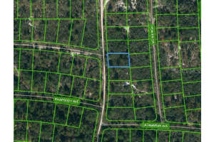 437 TWILIGHT DR, LAKE PLACID, FL 33852 - MLS#MFROM620990