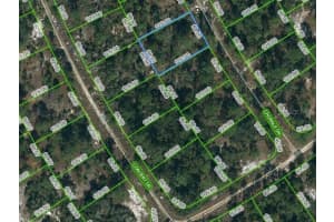 366 CHORALE DR, LAKE PLACID, FL 33852 - MLS#MFROM620991