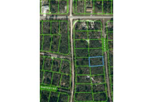 432 HEAVEN DR, LAKE PLACID, FL 33852 - MLS#MFROM621048