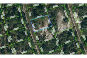 377 CONCERT DR, LAKE PLACID, FL 33852 - MLS#MFROM621051