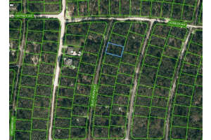 331 BLUE HEAVEN DR, LAKE PLACID, FL 33852 - MLS#MFROM621149