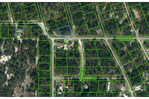 364 Fawnwood Ave, LAKE PLACID
