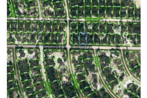 384 JACK WEISSER BLVD, LAKE PLACID, FL 33852 - MLS#MFROM621648